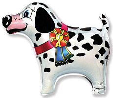 ���������� � �������