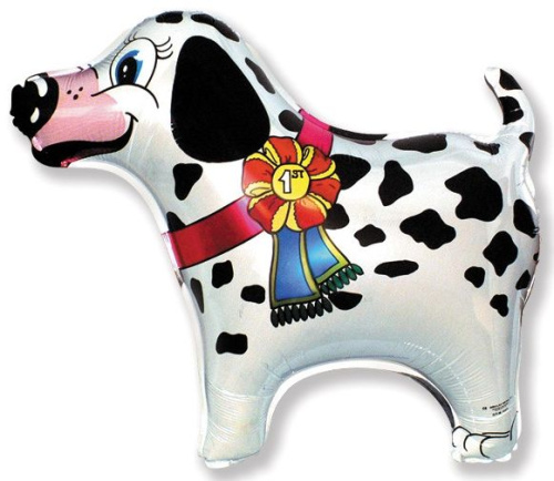 ���������� � ������� ���� � ���������������� ��������� ��������